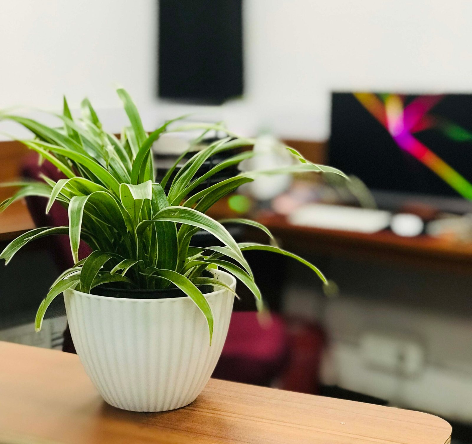 Digital solutions emirac works